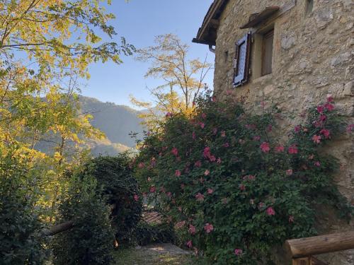 Le Capanne00149